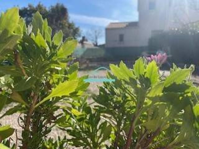 Frontignan, Appartement T3 avec grand jardin