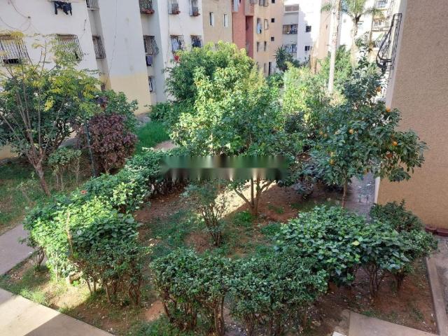Appartement à Vendre 104 M² à Sala Al Jadida