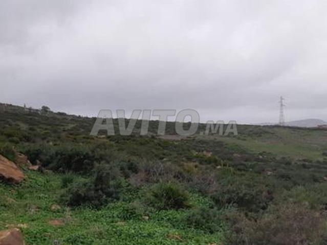 Appartement à vendre 1 m² à Tanger