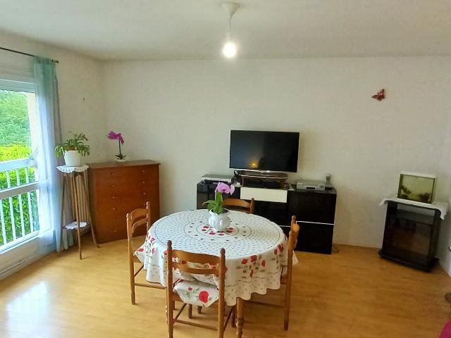 Lumineux appartement de 3 pièces avec cave et garage privati
