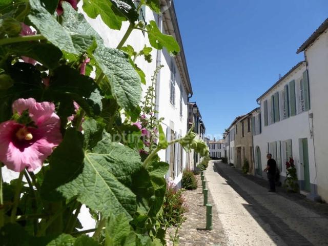 Appartement à vendre 2 pièces LA FLOTTE 17
