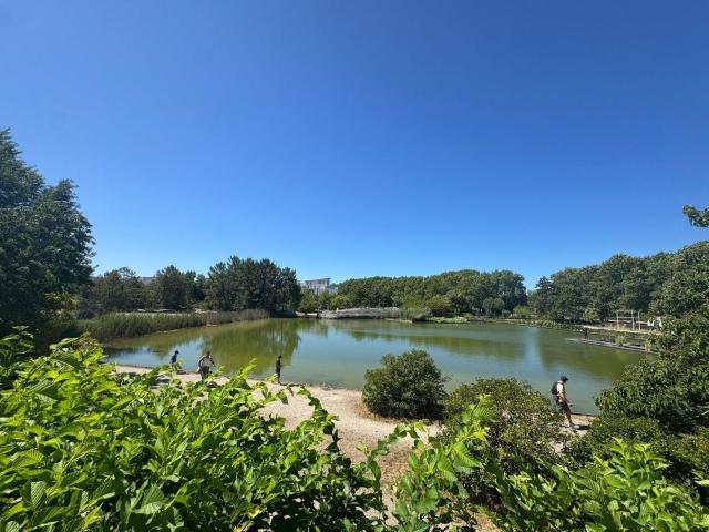 Appartement à vendre à Bordeaux 33000