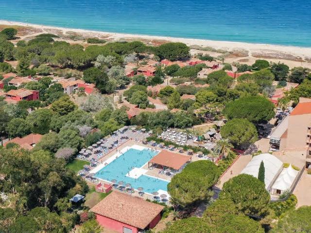 Appartement à vendre Belgodère