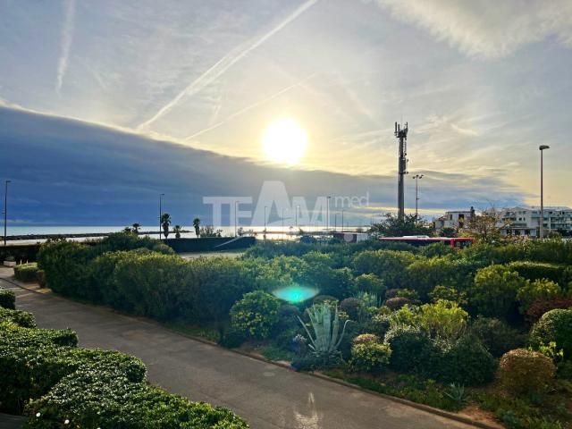 T2 cabine vue mer 50 m de la plage