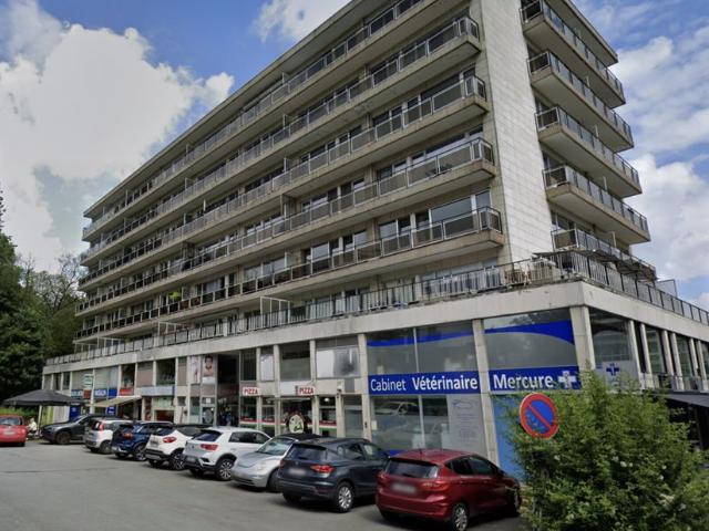 Appartement à vendre pour 185000 euro avec 1 chambres à coucher