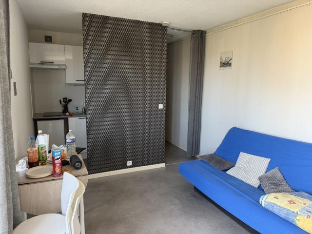 APPARTEMENT ALBI 420€