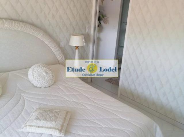 Appartement Albi