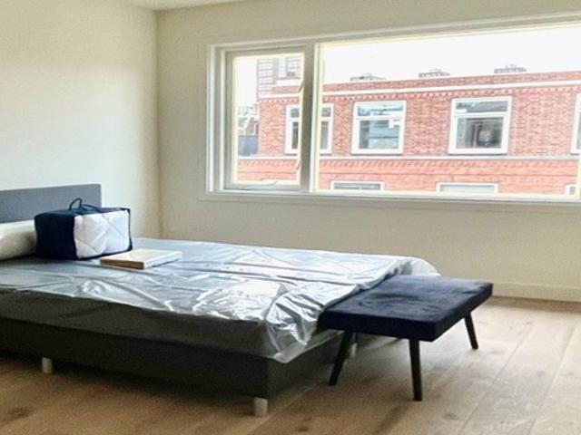 Appartement Anton de Haenstraat in Den Haag