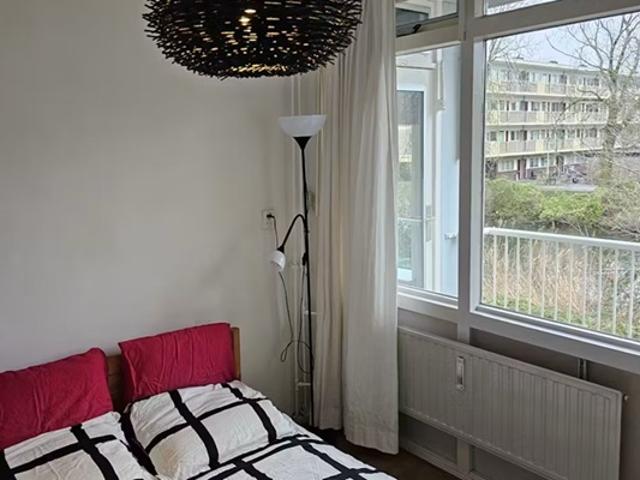 Appartement Asingaborg in Amsterdam