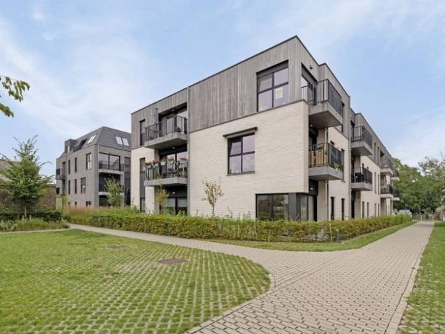 Appartement assisté dans un environnement chaleureux et atte