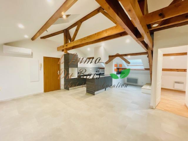 APPARTEMENT ATYPIQUE