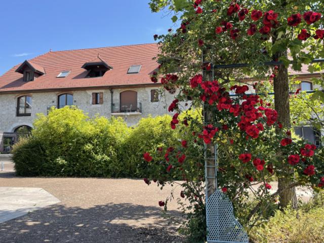 APPARTEMENT AU CALME ABBAYE ANNECY LE VIEUX