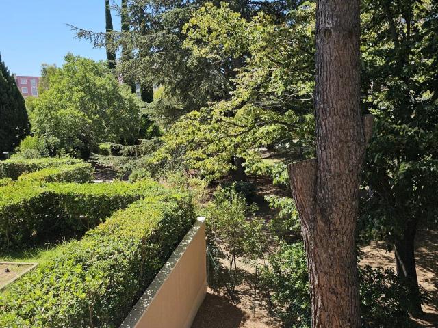 Grand Studio au calme sur la Côte d'Azur, au cœur de Sainte. 32m² Sainte Maxime