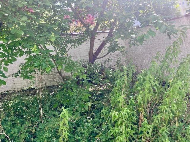 Appartement avec jardin