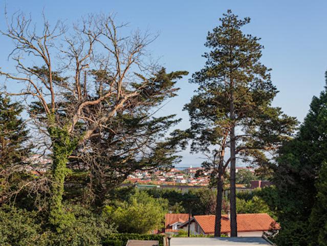 Appartement avec terrasse