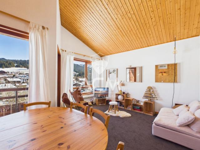 Appartement avec une vue splendide, proche centre village