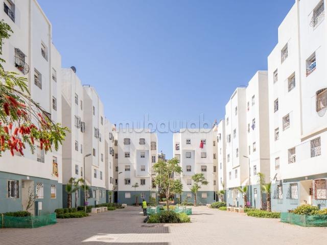 Appartement bien ensoleillé