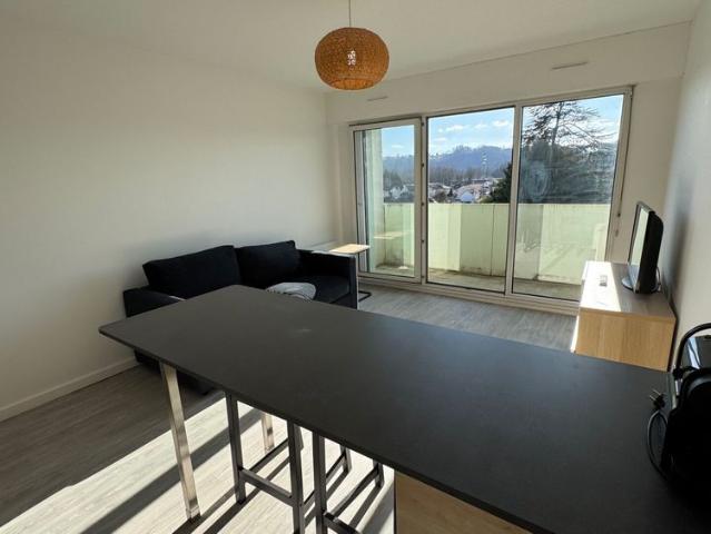 Appartement Bizanos 1 piÃ¨ce s 26.04 m2