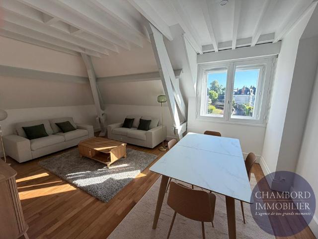Appartement Blois 3 pièces meublé