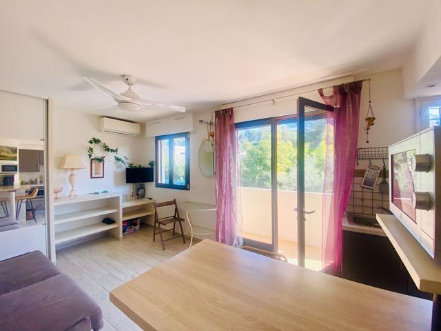 Appartement Cap Antibes 1 pièce s 20 m2