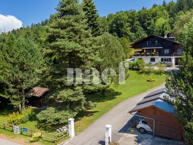 5.5 room apartment / chalet with a beautiful view for sale in Châtel St Denis | dreamo. Ch