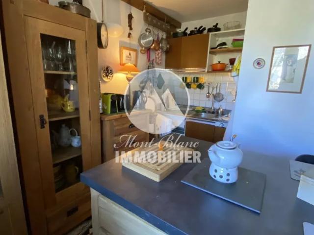 appartement / chamonix mont blanc / 1 100 €