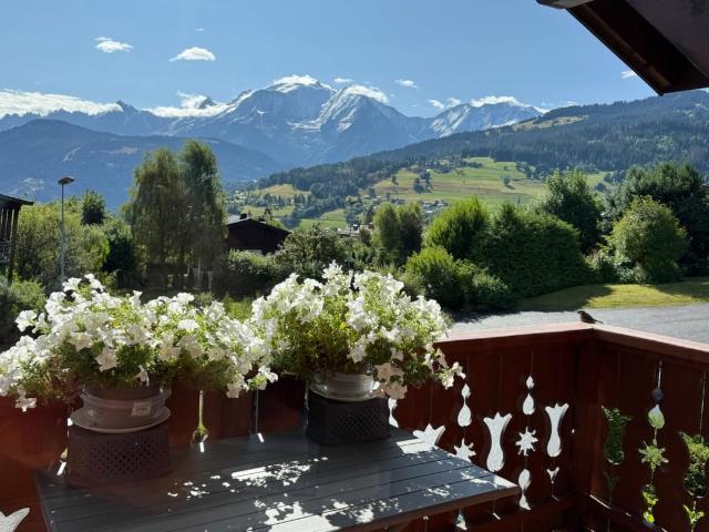 Appartement Combloux 4 pièce s 63 m2