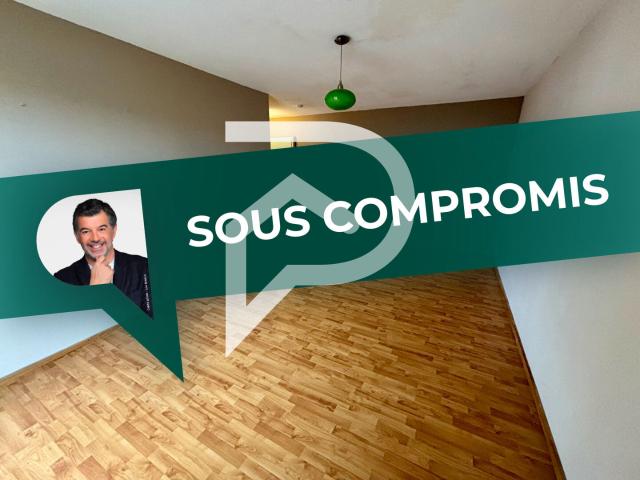 Appartement Colmar 2 pièce s 51 m2