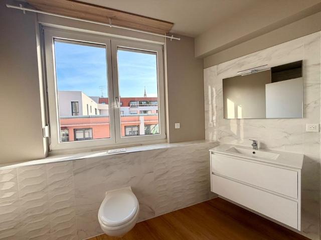 Appartement Colmar 5 pièce s 127.47 m2 avec terrasse rooftop