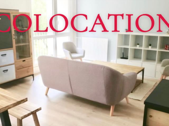 Appartement colocation Montigny 1 pièce 30 m2, Montigny le bretonneux