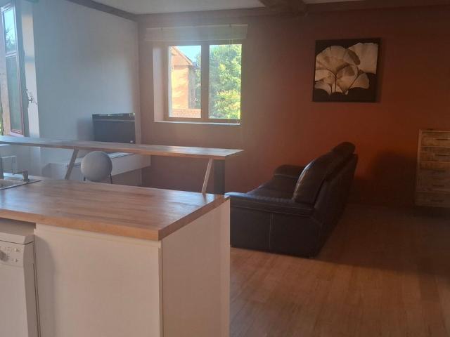 Appartement de 43m2 à louer sur Couzon au Mont d'Or
