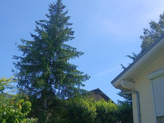 Appartement de 40m2 à louer sur Collonges sous Salève