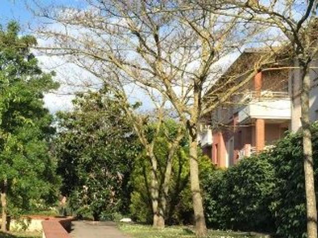 Appartement de 40m2 à louer sur Toulouse