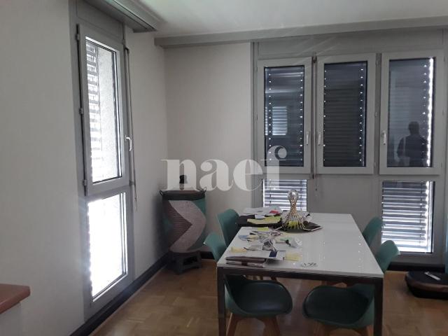 Appartement de 4 pièces à Le Grand Saconnex
