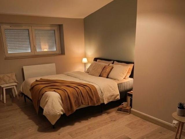 Appartement de 50m2 à louer sur Saint Étienne