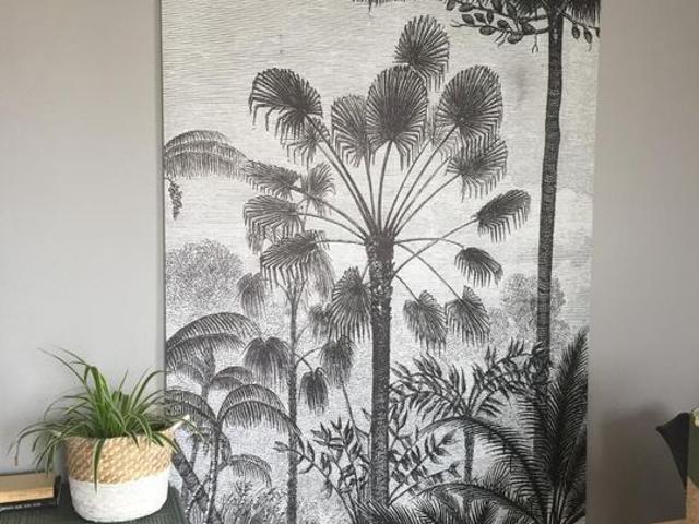 Appartement de 57m2 à louer sur Saint Étienne