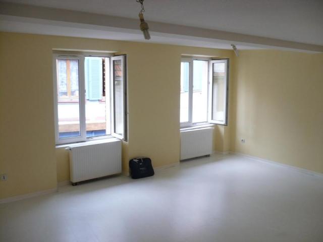 Appartement de 54m2 à louer sur Wasselonne