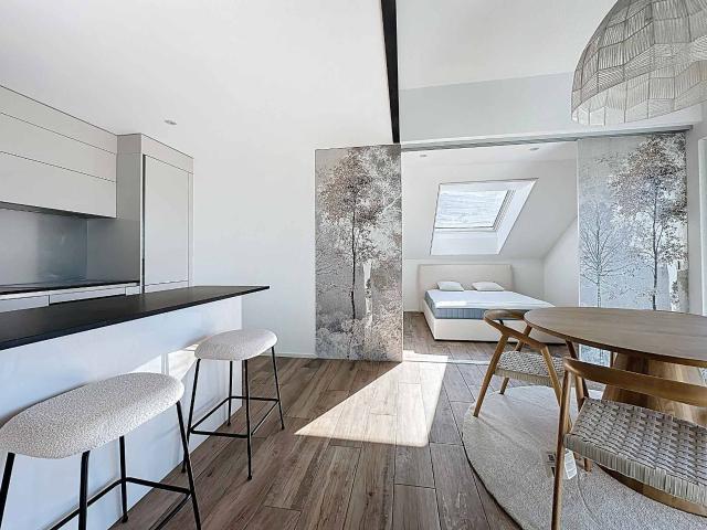 Appartement de 55 m² avec mezzanine et 2 balcons | dreamo. Ch