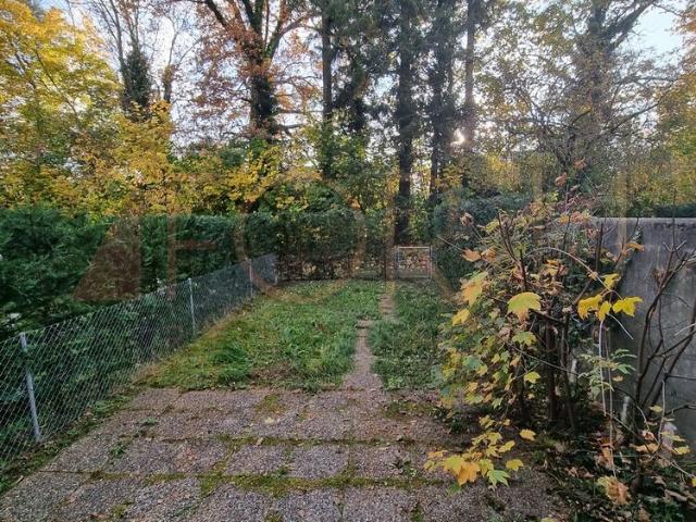 Appartement de 5 pièces au rez avec terrasse à Vernier