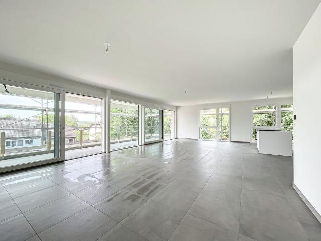 Appartement de 5 pièces avec terrasse à Bellevue