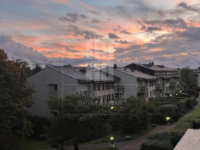 Appartement de 5 pièces rénové à Cologny