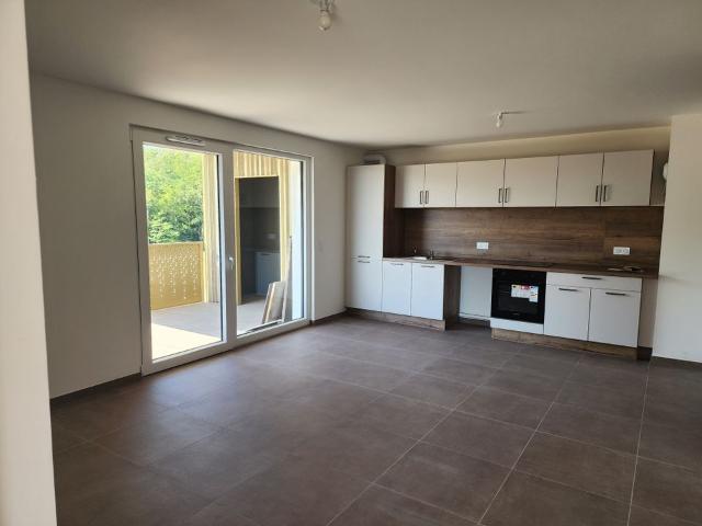 Appartement de 60m2 à louer sur Issenheim