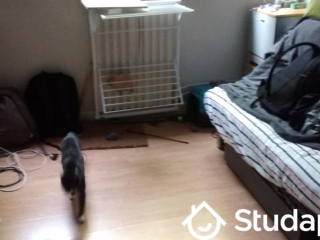 Appartement de 12m2