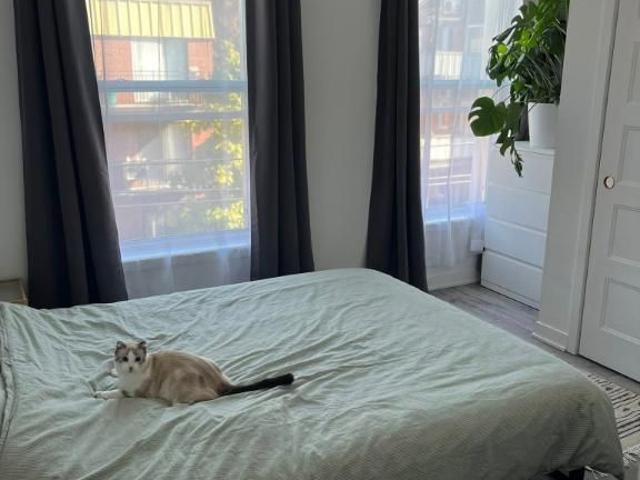 Appartement de 1 chambre et 1 salle de bain