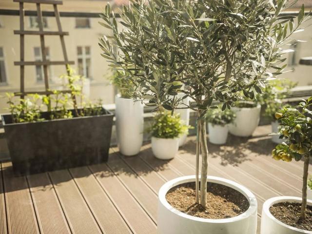 Appartement de 1 chambres de luxe en vente à Montrouge, Île de France