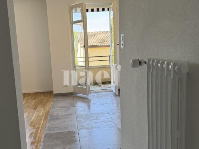 Appartement de 1.5 pièces au premier étage