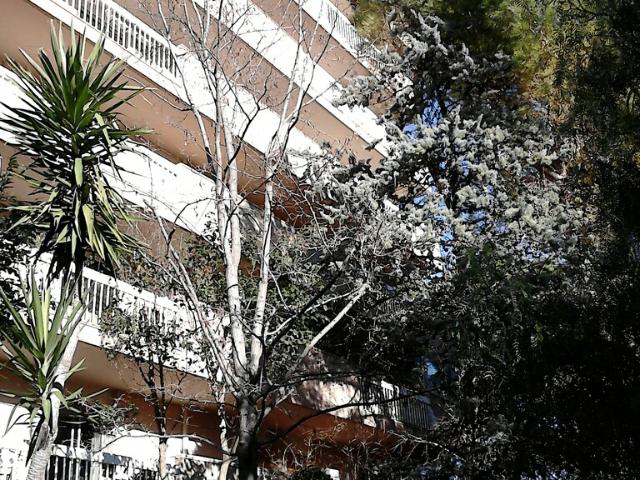 Appartement de 28m2 à louer sur Montpellier