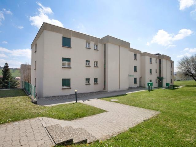 Appartement de 2.5 pièces avec terrasse