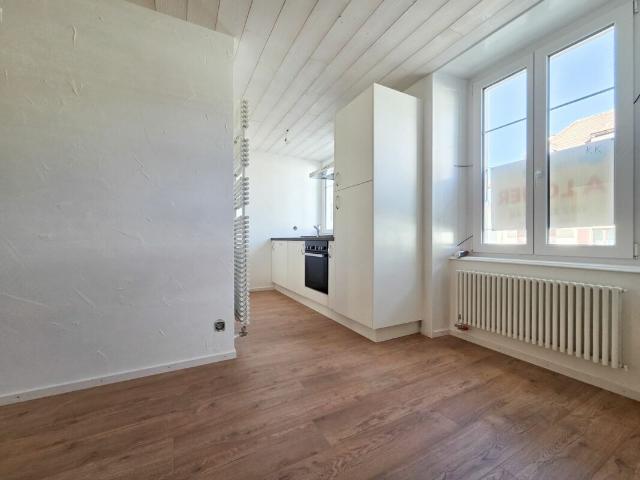 Appartement de 2.5 pièces refait à neuf !