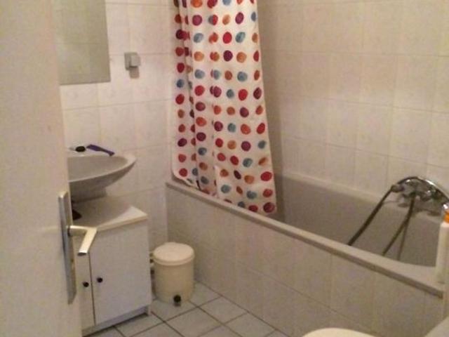 Appartement de 30m2 à louer sur Hœnheim